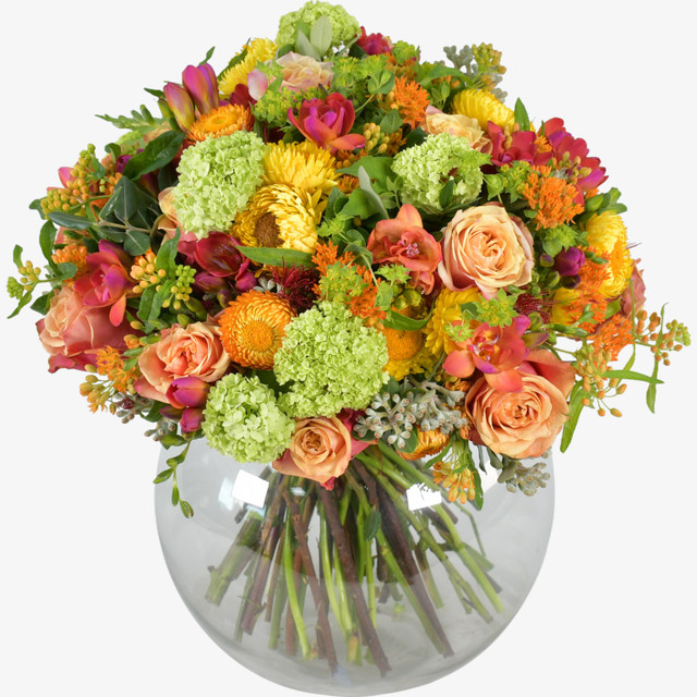Autumn Orange
