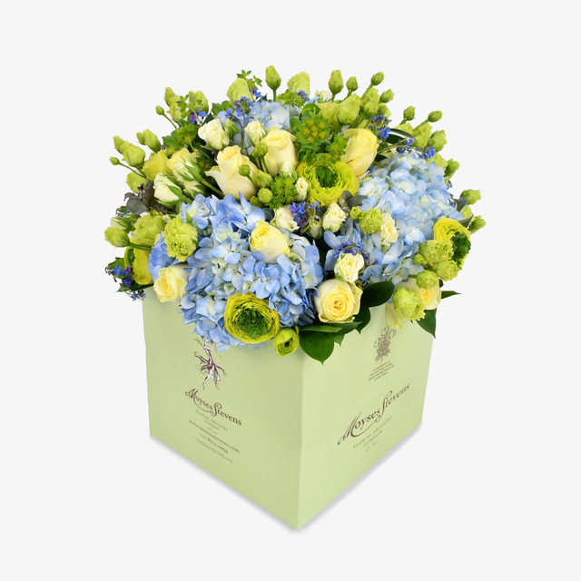 Forget Me Not