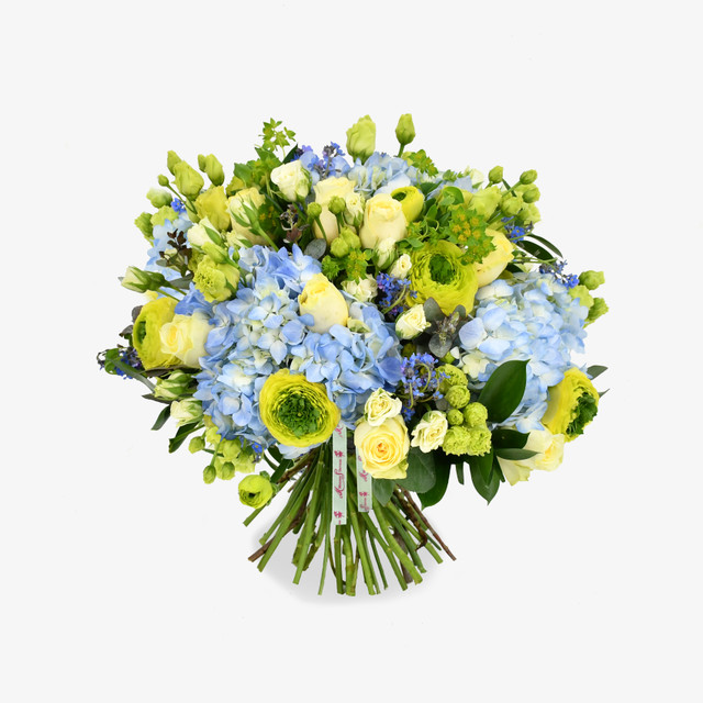 Forget Me Not