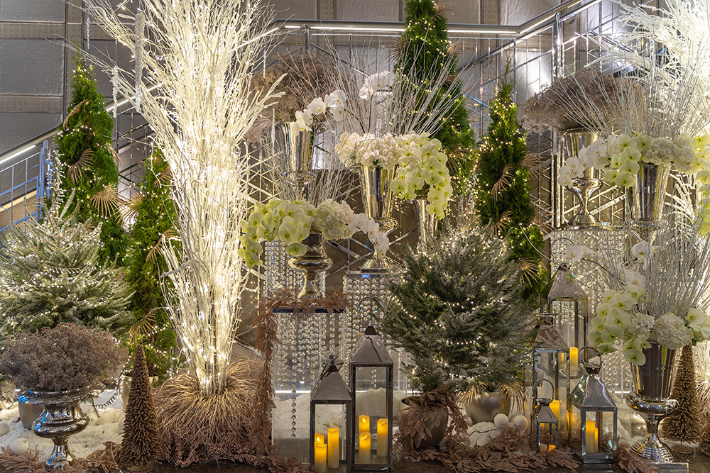 Moyses Stevens Contracts Team: A Christmas Transformation