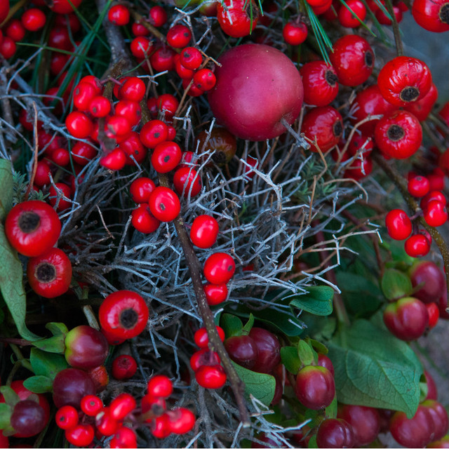 Red Berry Door Wreath