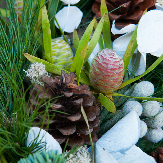 Natural pine Door wreath