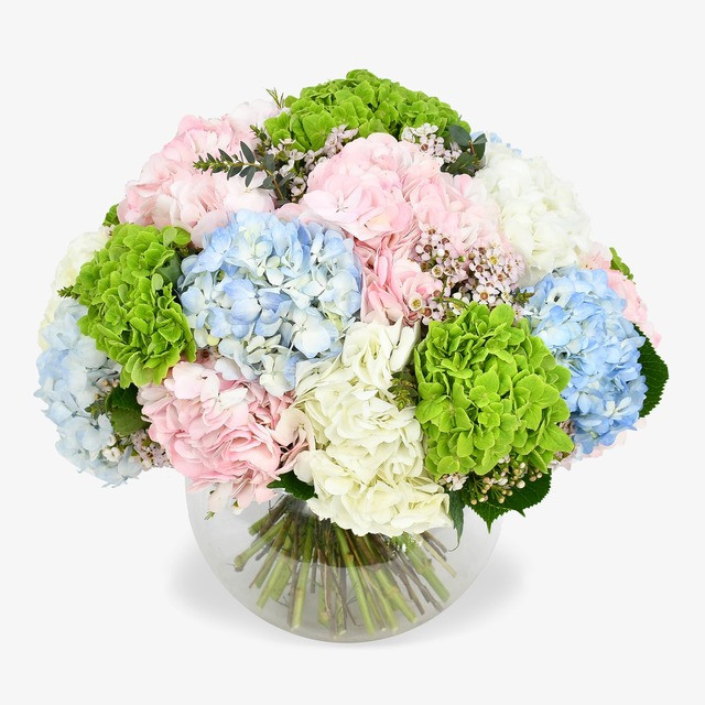 Hydrangea & Dom Perignon