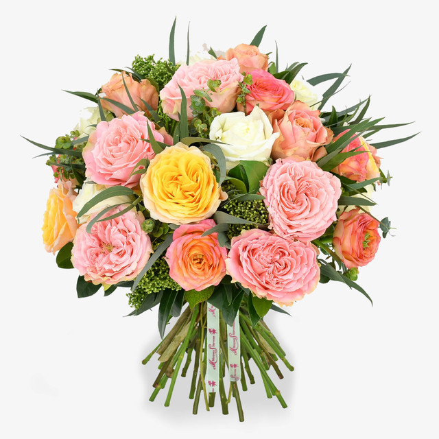 Garden Rose
