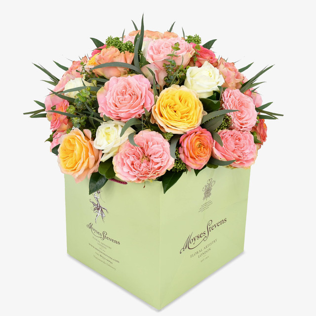 Garden Rose