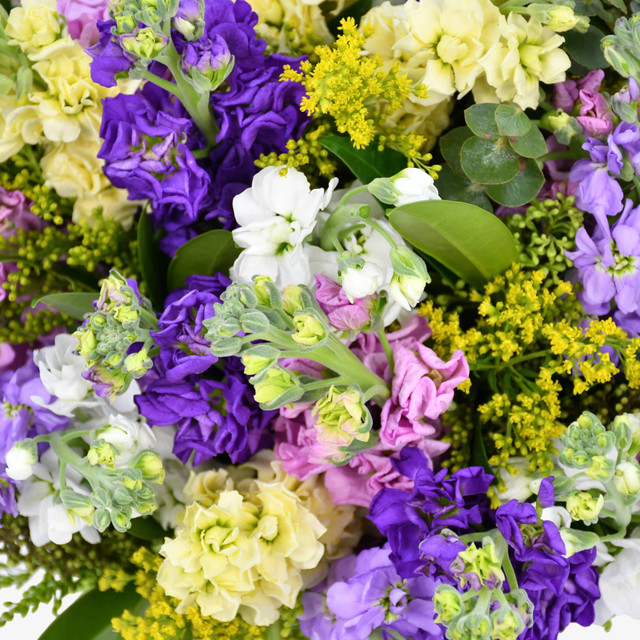 Scents Of Spring