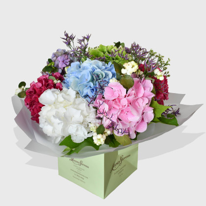 Hydrangea Day Dream