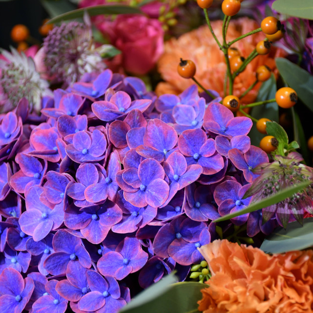 PURPLE PARADISE
