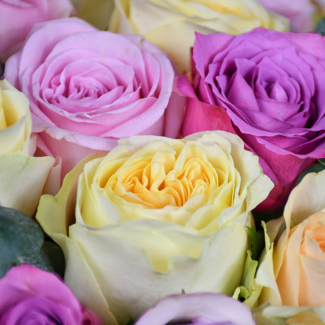 Sweet Rose & Moet