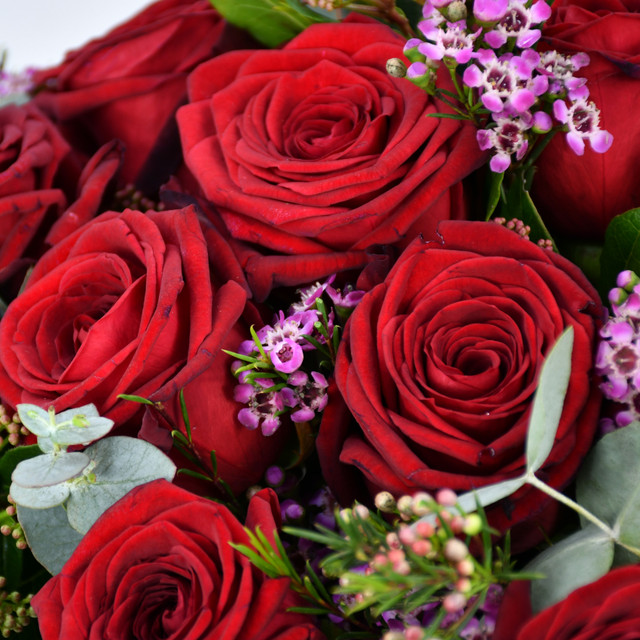 Dozen Red Roses Bouquet