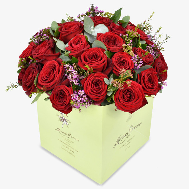 Three Dozen Red Roses