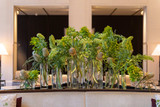 This Week at Nobu Portman Square