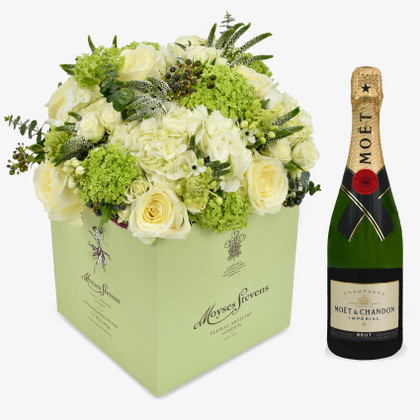 Graceful In White & Moet