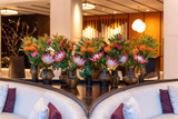 Flowers We Love - Proteas