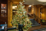 Moyses Stevens Christmas Installations 2023