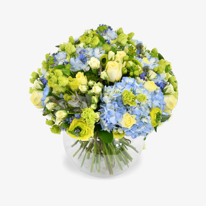 Forget Me Not