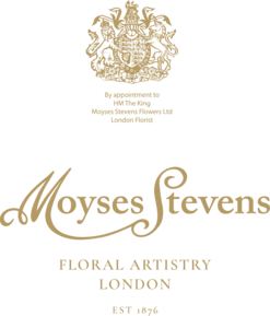 Moyses Stevens