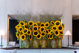 Flowers We Love: Sunflowers 